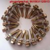 Stainless Steel Fasteners, Flange Bolts