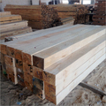 Natural Pinewood