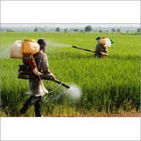 Organic Pesticides