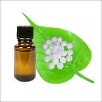 Camphor Oil