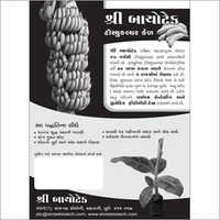 Banana Tissue Culture Plants