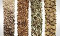 Grade Animal Feed