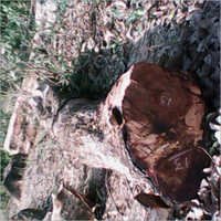 Wood Planks