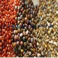 Colour Stone