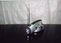 FM Radio- Torch