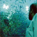 Fish Aquarium