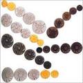 Sweaters Polyester Buttons