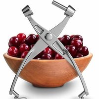 Cherry Pitter