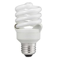 Gas Discharge Lamp