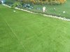 LG Artificial Grass Carpet