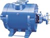 Liquid Ring Vacuum Pump