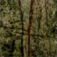 Rainforest Green Marble Tiles
