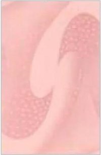 Pink Color Wall Tiles