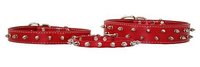 Designer Spiked Dog Collars