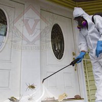 Herbal Pest Control / Gel Treatment Services