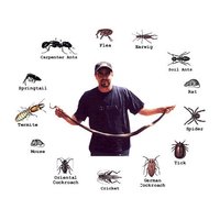 Pest Control Services