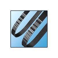 Ribbed Belts