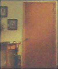 Flush Doors