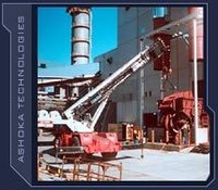 Sugar Plants