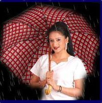 Ladies Umbrella