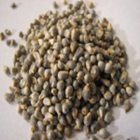 Bajri