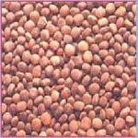 Guar Seeds
