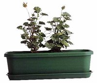 Window Pots