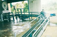 Crate Conveyor