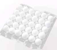 Eggs Tray