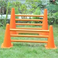 Cone Hurdle