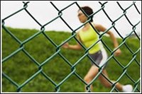 Chain Link Fence