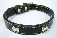 Designer Dog Collars