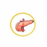 Diabetic Medicines