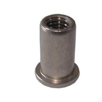 Large Flat Head Rivet Nut at Best Price in Shanghai, Shanghai