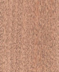 Golden Cedar Veneers Plywood