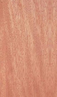 Golden Walnut Veneers Plywood