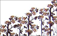 Decorative Table Mats
