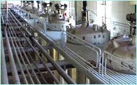 Starch & Glucose Plant
