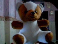 Teddy Bear-10