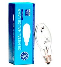 Metal Halide