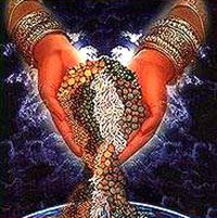Spices