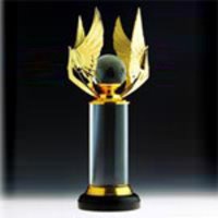 Crystal Glass Imported Trophies