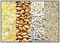 Sesame Seeds