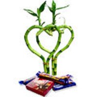 Artificial Flowers