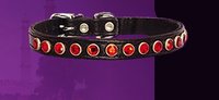 Gemstone Baby Dog Collar