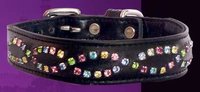 Multi Eye Baby Dog Collar