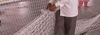 Fish NETS