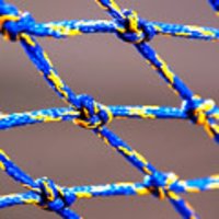 Sapphire Fishing Net