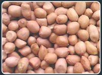 Groundnuts