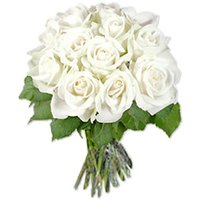 12 White Roses Bunch